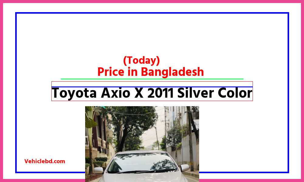 Toyota Axio X 2011 Silver Colorfeaturepic